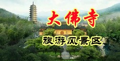 大鸡巴把骚逼操烂观看中国浙江-新昌大佛寺旅游风景区